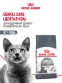 Сухой корм Royal Canin Dental Care для профилактики образования зубного налета и зубного камня у кошек Птица, 1,5 кг.