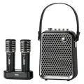Портативная колонка с двумя микрофонами Divoom SongBird-HQ 2, черный