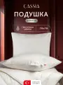 CASSIA Подушка для сна 70х70 Био Шелк вискозный шелк, микрогель