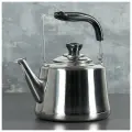 Чайник из нержавеющей стали «Чайковский», 3 л, цвет хромированный