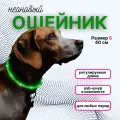 Ошейник для собак светящийся LED 40 см, с принтом, зеленый, ZOOWELL, регулируемая длина