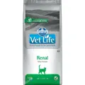 Корм для кошек Farmina Vet Life Feline Renal 2000 г