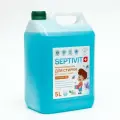 SEPTIVIT Гель для стирки SEPTIVIT «Голубой лён» для всех видов тканей, 5 л
