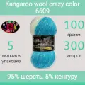 Пряжа Color City Kangaroo wool crazy color 6609 (100г/300м, упаковка 5 мотков)