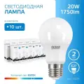 Лампочка светодиодная Е27 Груша 20W холодный белый свет 6500К упаковка 10 шт. Gauss Elementary