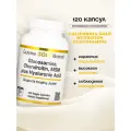 California Gold Nutrition, Глюкозамин, хондроитин и МСМ с гиалуроновой кислотой, 120 растительных капсул