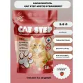 Наполнитель впитывающий силикагелевый CAT STEP Arctic Strawberry (Клубника), 3,8 л