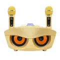 Караоке система для дома с двумя микрофонами SDRD SD306 Plus Сова 30 вт, с функцией Bluetooth, AUX, USB
