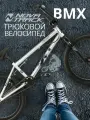 Велосипед трюковой NOVATRACK 20 BMX PSYCHO спортивный на рост 130-190 см, рама 10 БМХ велик для прыжков, серебристый