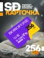 Карта памяти Micro SD BOROFONE, TF High speed Memory card, 256GB, Class 10 , A1, XC I, V30(оригинал)
