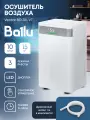 Осушитель воздуха Ballu Vector BD-10L VT