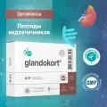 Гландокорт (Пептиды Хавинсона) пептиды надпочечников 20 капсул, восстановление работы надпочечников, при нарушении гормонального статуса, для гормональной и эндокринной системы, БАД