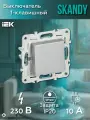 Выключатель одноклавишный 10А SK-V01S цвет Серебряный IEK SKANDY