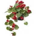 ИКЕА Герань искусственная ФЕЙКА в горшке, 70506505, 46 см 1 46 см