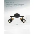 ARTE LAMP A1906PL-2BK светильник потолочный