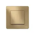 Выключатель 1-клавишный BLANCA, скрытый монтаж, титан | код. BLNVS010104 | Schneider Electric (10шт. в упак.)