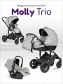 Коляска для новорожденных 3 в 1 Farfello Molly Trio, с автокреслом 0+, прогулочная до 3-х лет