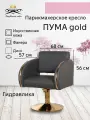 Парикмахерское кресло Пума Gold, серый, искусственная кожа - диск