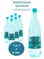 Вода минеральная Новотерская Целебная лечебно-столовая 1,5 л х 6 шт, газированная, пэт