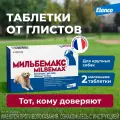 Мильбемакс (Elanco), таблетки от гельминтов для крупных собак – 2 таблетки