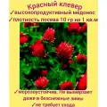 Клевер красный медоносный 200гр, семена отборные для сада/ пасеки/ мягкий газон