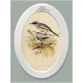 Картина в овальной деревянной раме с лепниной Птички