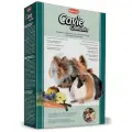 Padovan Корм для морских свинок (Grandmix Cavie) PP00190 | Grandmix Cavie 0,85 кг 31098 (3 шт)