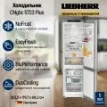 Комбинированный холодильник-морозильник Liebherr CNgbc 5723 Plus NoFrost, с функцией EasyFresh, 383 л