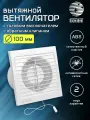 Вентилятор вытяжной D 100 мм с обратным клапаном, с тяговым выключателем, с москитной сеткой, abs-пластик, белый