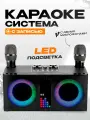 Караоке система с беспроводными микрофонами YS-212