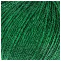 Пряжа Baby Wool 20% кашемир, 40% меринос. шерсть, 40% акрил 175м/50гр (814 зелёный)