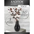 Сухоцветы Хлопок для декора, 3 ветки 10 коробочек