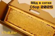 Сотовый мед, мед в сотах, медовая рамка 1,7кг-2,2кг