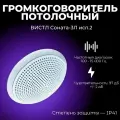 Вистл Громкоговоритель потолочный Соната-3Л исп.2 (8 Ом)
