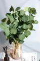 Искусственные цветы растение Эвкалипт сильвер доллар для новогоднего декора и интерьера премиум серия 3 шт 63 см