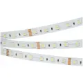 Светодиодная Лента RT-B60-12mm 24V RGBW-Day-4-in-1 (19.2 W/m, IP20, 5060, 5m) (Arlight, Открытый) 019151(2)