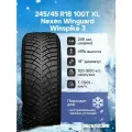 Шина Nexen(Нексен) WINGUARD Winspike 3 245/45 R18 100T зимняя автомобильная шипованная