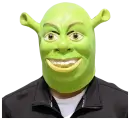Латексная маска шрек , карнавальная, новогодняя, на рождество, на праздник , селфи