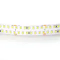 Светодиодная лента белого свечения, мощность 24В, Lightstar 422004_LS