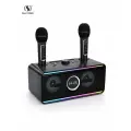 Караоке система для дома с двумя микрофонами SD-216 30 ватт, с функцией Bluetooth, AUX, USB, Черный