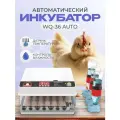 Инкубатор WQ, автоматический, с терморегулятором, 36 яиц, питание от сети и аккумулятора