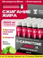 L-карнитин 3600мг, SPORTTECH, вкус мохито, 20 ампул*25 мл, жиросжигатель, похудение, энергия, выносливость, тонус