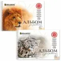 Альбом для рисования А4, 40л Brauberg Благородные кошки (110 г/кв. м) (102831)