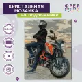 Кристальная (алмазная) мозаика фрея ALPD-185 на подрамнике Мотоциклист на закате 40 х 50 см