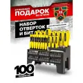 Набор отверток и бит, 100 предметов