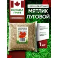 Мятлик луговой Canada Green 1 кг, мятлик луговой 1 кг Канада Грин