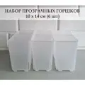 White Garden Прозрачные высокие горшки для суккулентов и кактусов 10х14 см. Набор из 6 штук