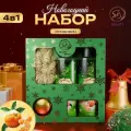 Подарочный набор косметики SB Beauty Новогодний Снежное царство с ароматом мандарина и корицы, зеленая серия