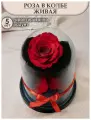 Роза в колбе Bella