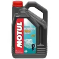Масло моторное MOTUL OUTBOARD TECH 4T 10W30 5л от официального дистрибьютора, MOTUL, артикул 106447
